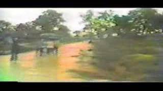Site 2 - Part 2