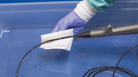 Vividia Small Diameter Video Borescope: Endoscope Reprocessing Visual Inspection Internal Channels