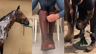 The Most Satisfying Equestrian TikToks pt 6