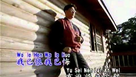 莊學忠 - 浪子淚 (夢的風采 VCD) MV