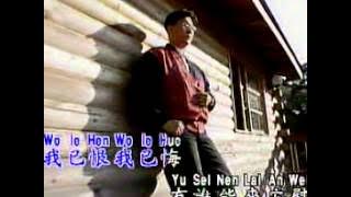 莊學忠 - 浪子淚 (夢的風采 VCD) MV