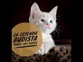 Increíble leyenda budista sobre los gatos - Ciencia del Saber