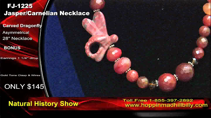PAUL FLAMM NATURAL HISTORY SHOW HBN 3