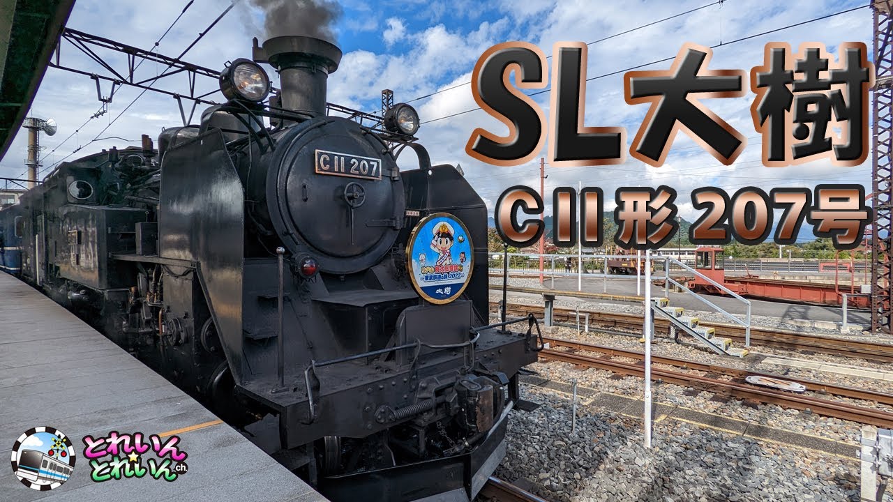 【きかんしゃ 子供向け】SL大樹【C11 207 人気 東武鉄道 Japanese steam locomotive 電車 子供】