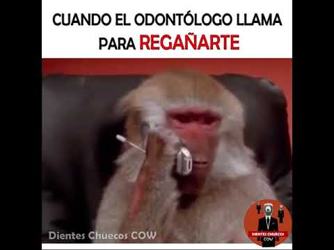 Regaño del odontólogo