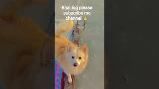 bhai subscribe please 🥺 comment v