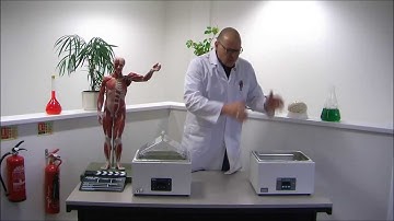 Grant Water Baths from thelabwarehouse.com