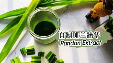 【Pandan Extract 班兰精华 】Natural Pandan Essence! 天然的班兰精华！