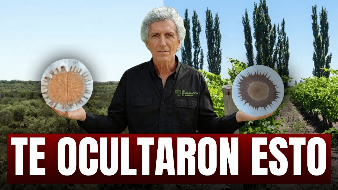 La materia orgánica, sin saber esto no sirve de nada