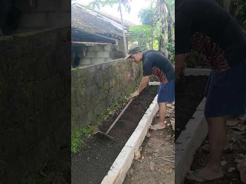 Video: Berkebun Tahan Kemarau: Alternatif Landskap Lebih Murah - Tahu Cara Berkebun