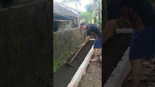 Bikin Raised Bed buat tanam Empon2 & bumbu dapur Kebun Samping Rumah 🙌😃 #youtubeshorts #berkebun