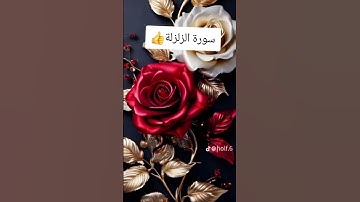 #quran #قرآن #سورة_الزلزلة #الشيخ_محمد_الحيدان #المصحف #اكسبلور #duet