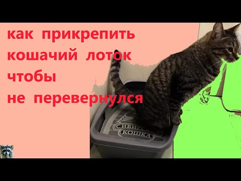 как прикрепить кошачий лоток чтобы не переворачивался