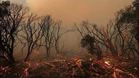 سورة الكهف بصوت القارئ التركي كاني كاراجا