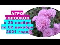 Агрогороскоп с 29 ноября по 02 декабря 2021 года