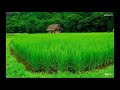 Malayalam evergreen nonstop hits