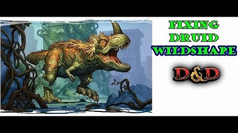 Fixing Druid Wild Shape: D&D