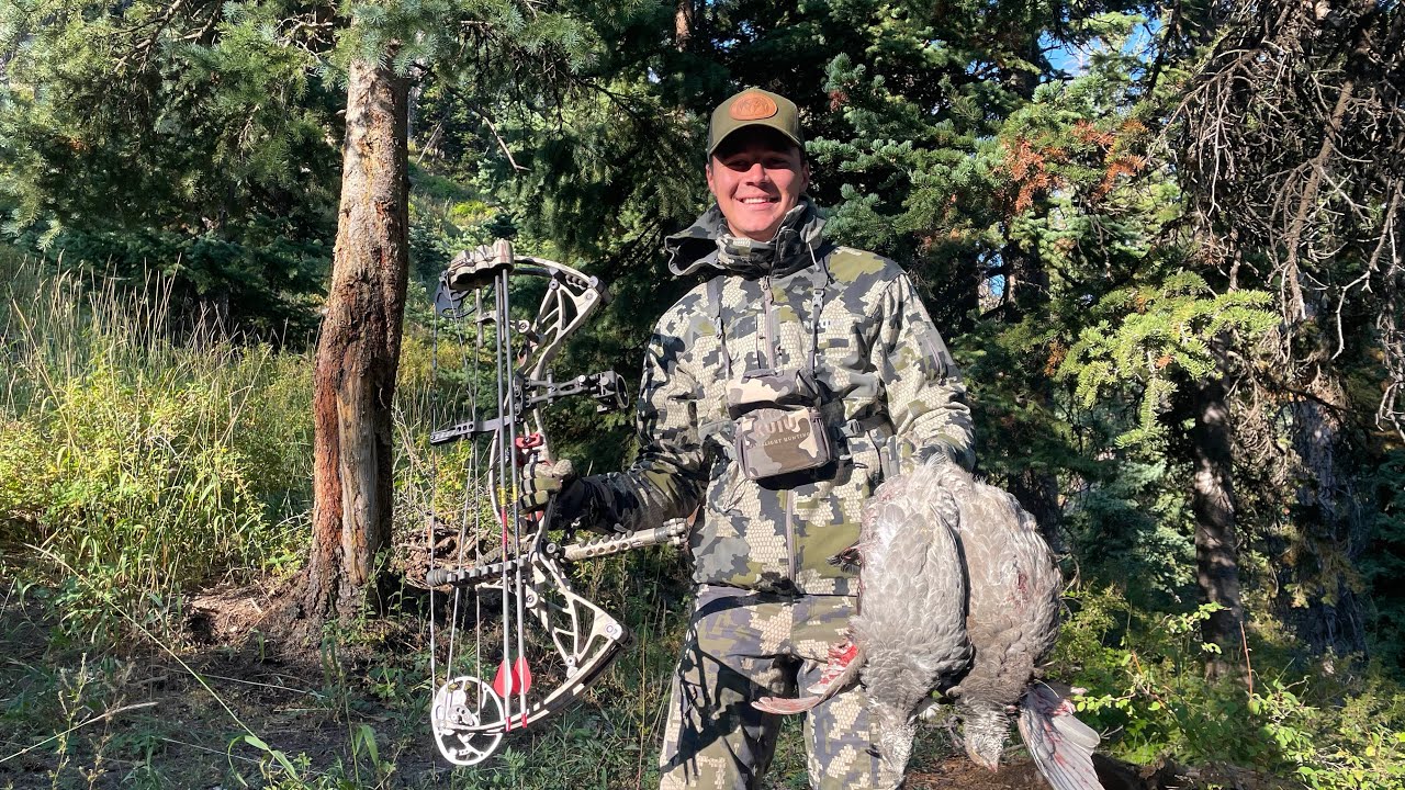 Utah Archery Elk Hunt 2022. General Season elk (unsuccessful) YouTube