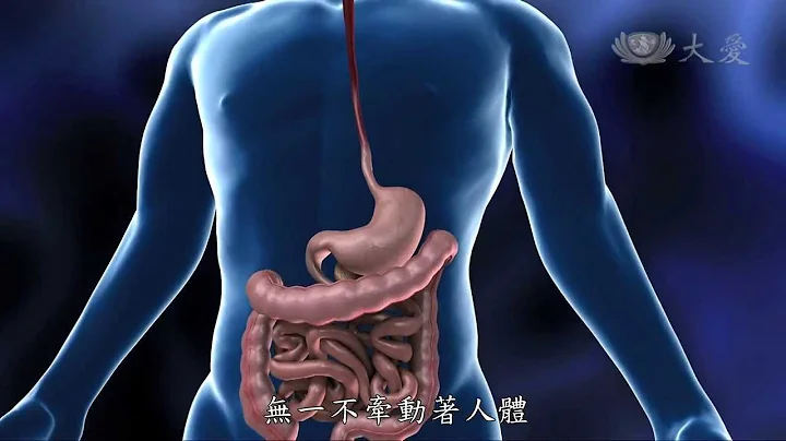 【发现】精华影片 - 20131228 - 人体奥秘系列 - 食物的分解厂 - 胃 - 天天要闻
