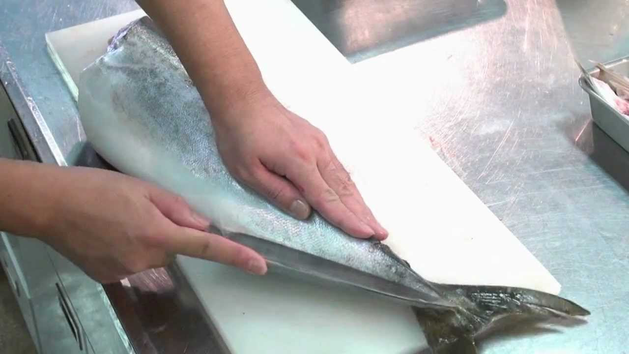 ハマチ, はまち子、水彩, 描かれた, 魚 mqdefault.jpg