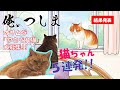 【俺、つしま】オサムな「やさぐれ猫」発表!! [I, Tsushima]