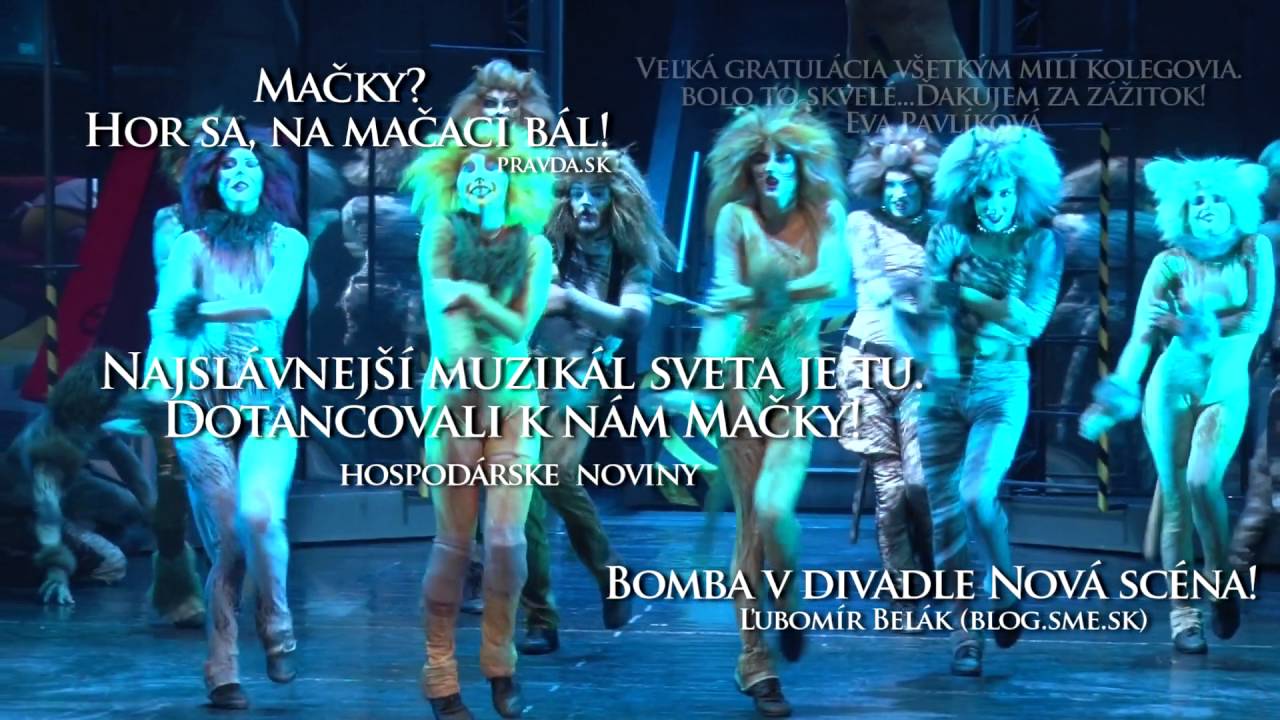 Memory Cats. Katarína Hasprová