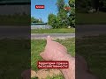 Коммунальный абсурд по-беларусски 🚰 Людей лишили доступа к колонкам #Беларусь #коммунальщики #вода