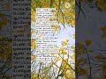 Velli mani kinnathile song lyrics tamil melody songs evergreen songs illayaraja hits #tamilmelody