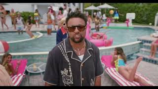 DJ Cassidy & Shaggy ft. Rayvon - If You Like Pina Coladas | Official Music Video