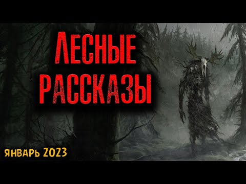 Лесные Рассказы | Страшные Истории