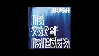 Bush - I Believe In You