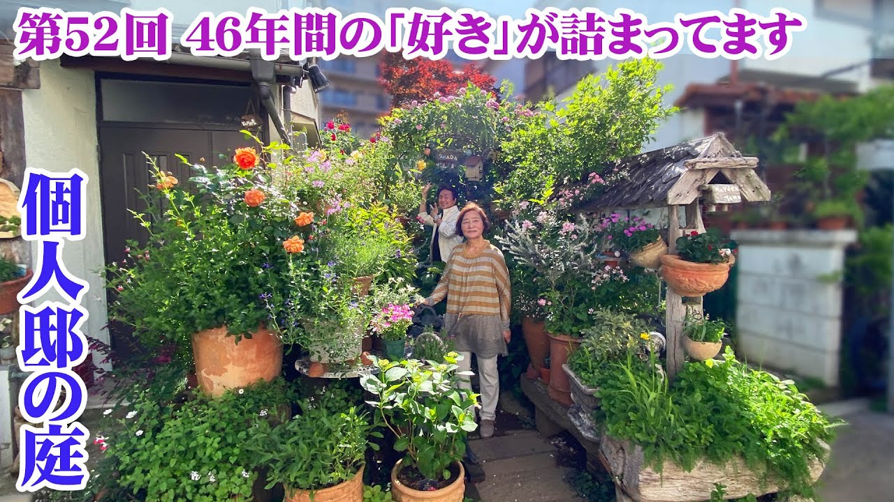 【お庭訪問】第52回 路地裏に現れた不思議な空間は「植物とアンティーク雑貨」が集まるこだわりの庭で家主の想いに感動【個人邸の庭】