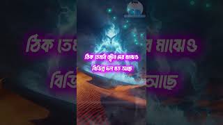 জ্বীন্দের সাথে মানুষের বিয়ে হওয়া সম্ভব। islamicvideo islamic islamicshorts   motivation