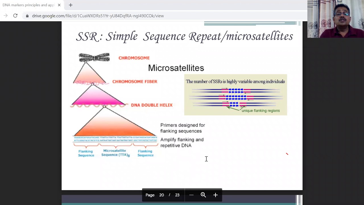 dna markers principles and application aflp and ssr