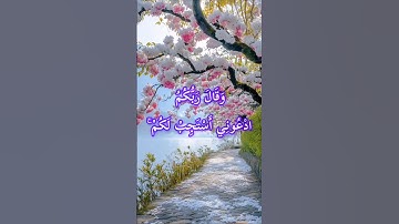 سورة غافر الآية 60-64.#quran #shortvideo #دعاء #سورة_غافر #قرآن #قران_كريم #كرومات #اسلاميات #آيات