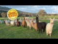 2016 Farm Fantastic Expo