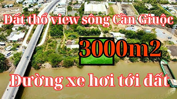 Đất Cần Giuộc.  Diện tích 3000m2 thổ cư, đường xe hơi, khu đông dân cư giá rẻ, SHR