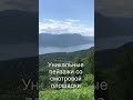 Алтай заповедный у Телецкого озера. Altai Republic. #shorts #shortsvideo #алтай #телецкоеозеро