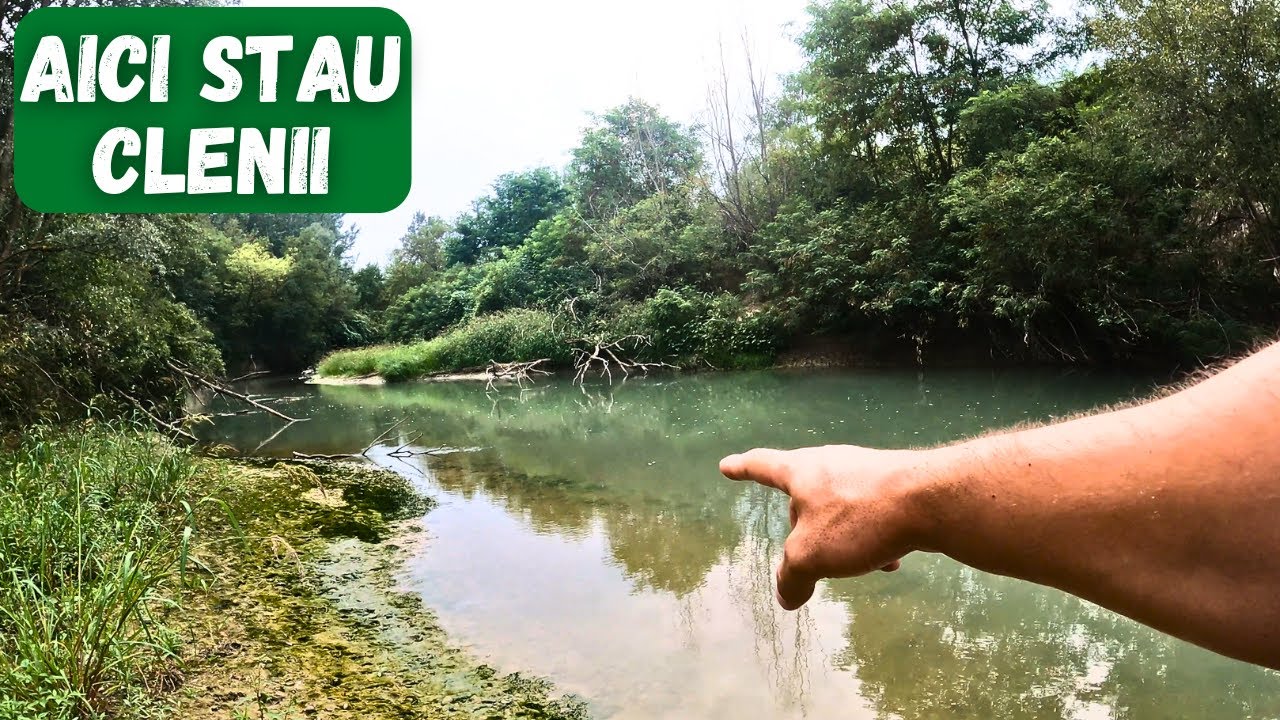 PRIMII mei CLENI pe PRAHOVA (loc virgin)