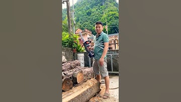 Cưa xích pin Hukan G1 N12 test thực tế ĐT/Zalo: 0973592557 #cuaxich