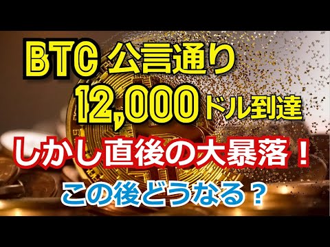 ビットコイン（BTC）が大暴落！この後どうなる？