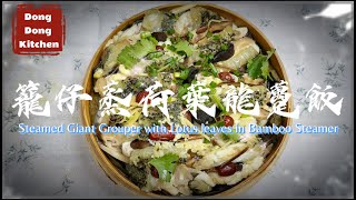 《家嘗別飯》家常便飯 : 籠仔蒸荷葉龍躉飯【Dong Dong Kitchen】 Steamed Giant Grouper with Lotus Leaves in Bamboo Steamer
