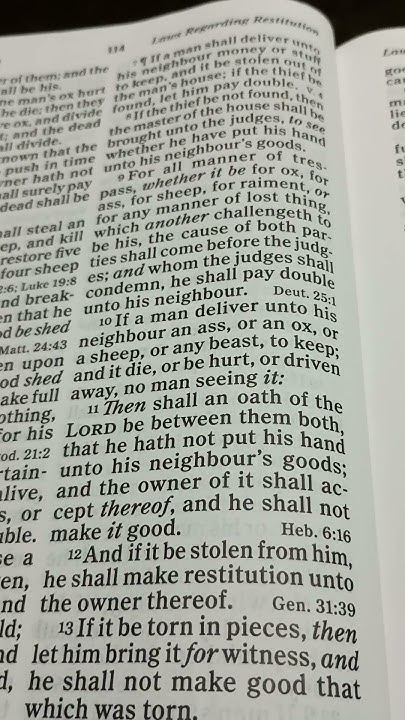 Bible Reading Exodus Chapter 22 Verse 10 11 bible biblereading bible-reading-exodus-chapter-22-verse-10-11-bible-biblereading