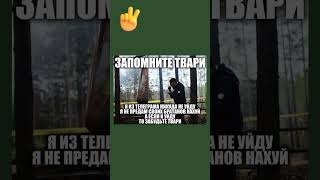 🗿 #позитив #шутки #жесткийюмор #смешныевидео #мемы