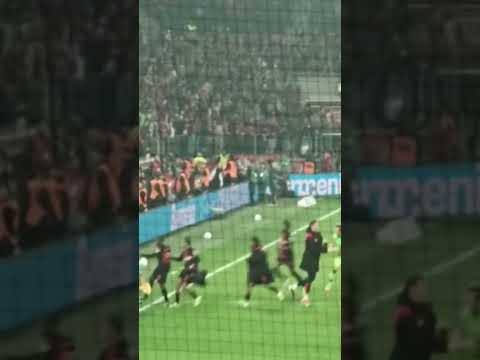 3-0 Leverkusen vs. Bayern I TOR Frimpong und Szenen nach Abpfiff I Bundesliga Topspiel Feb 2024