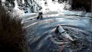 Daisy Zwemt Meinweg Herkenbosch 24042012