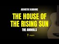 The House of the Rising Sun - Acoustic Guitar Cover 🎸