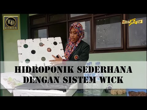 Hidroponik Sederhana dengan Sistem Wick ( Sumbu)