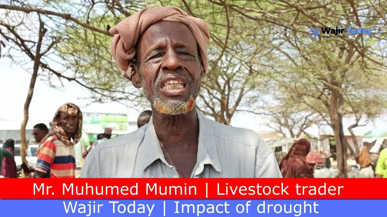 Wajir Today: Saameynta abaraaha magaalada Wajeer iyo suuq xolaha