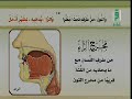 مخرج طرف اللسان النون والراء 